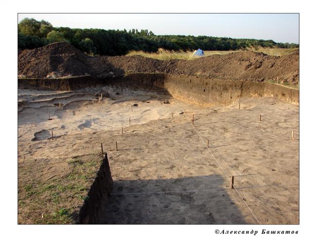 Раскоп поселения бронзового века